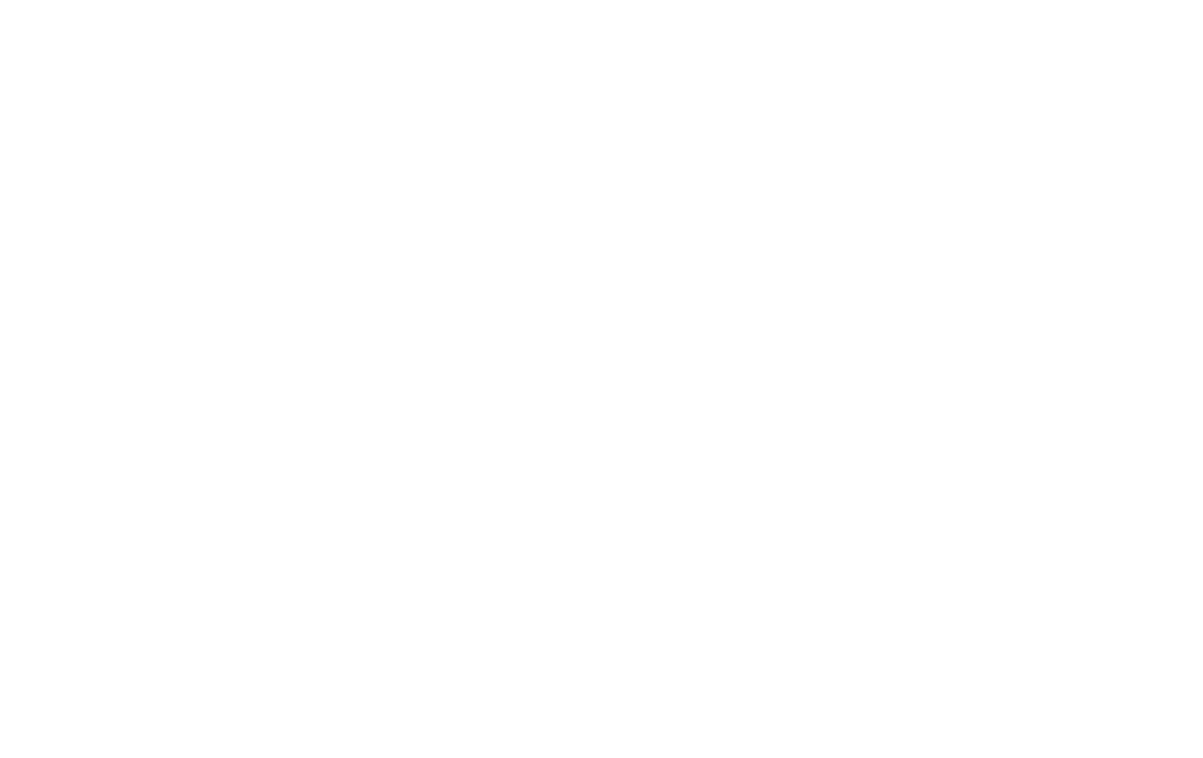 BRAINRISE ARCHITECTURE LTD